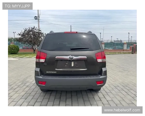 2010年霸锐 特价2.99w#每日推荐好车