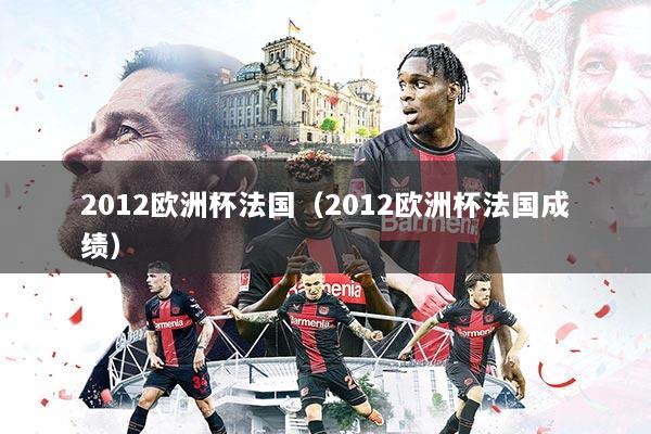 2012欧洲杯法国（2012欧洲杯法国成绩）